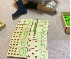 算数教育 数の理解