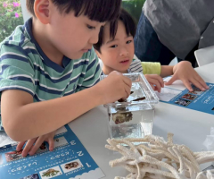 文化教育 探究心