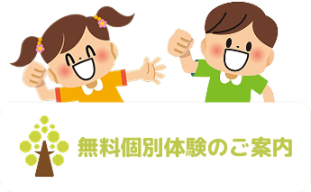 無料個別体験のご案内